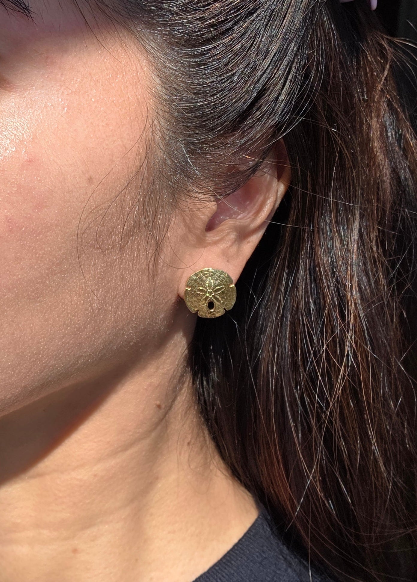 Lovely 14k Gold Solid Made Sand Dollar Button Earrings Studs
