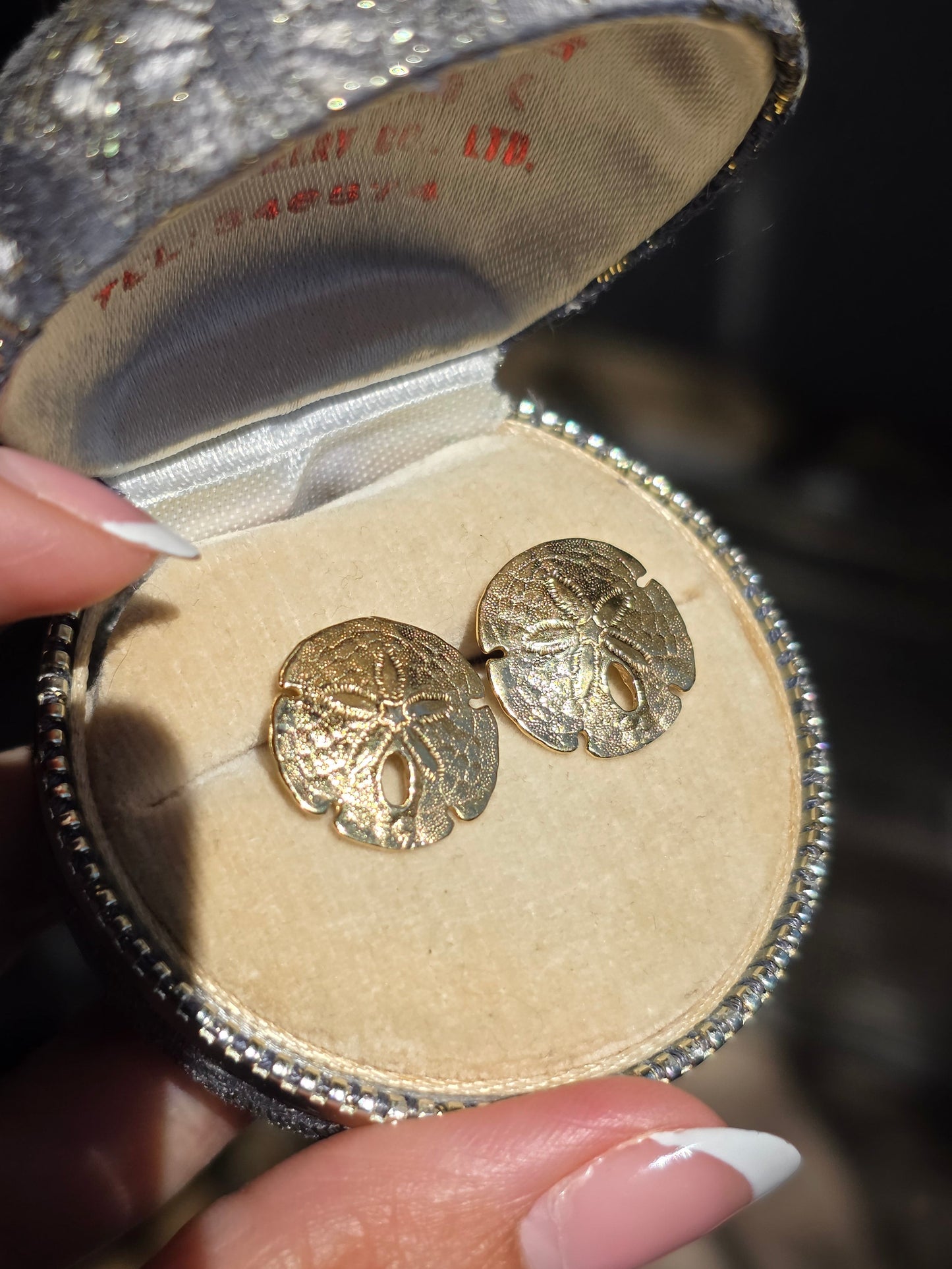Lovely 14k Gold Solid Made Sand Dollar Button Earrings Studs