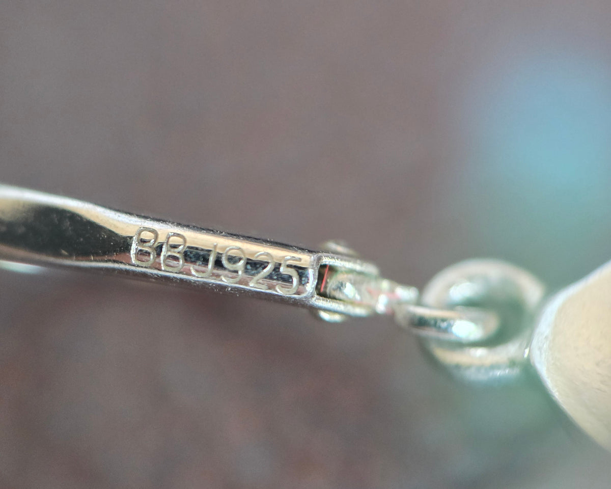 Sterling Silver Turquoise Paw Print Drop Earrings Leverbacks