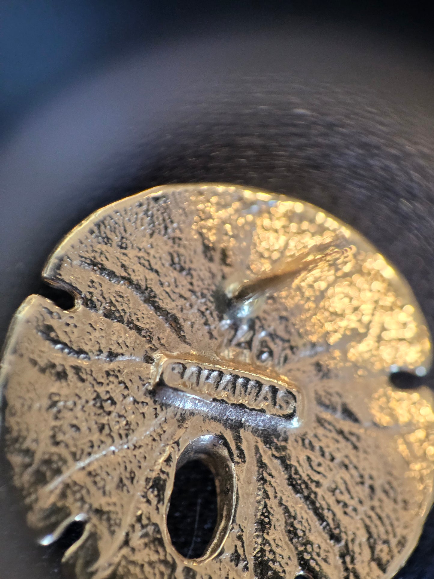 Lovely 14k Gold Solid Made Sand Dollar Button Earrings Studs