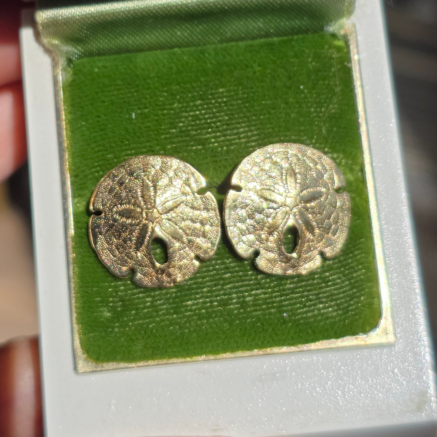 Lovely 14k Gold Solid Made Sand Dollar Button Earrings Studs