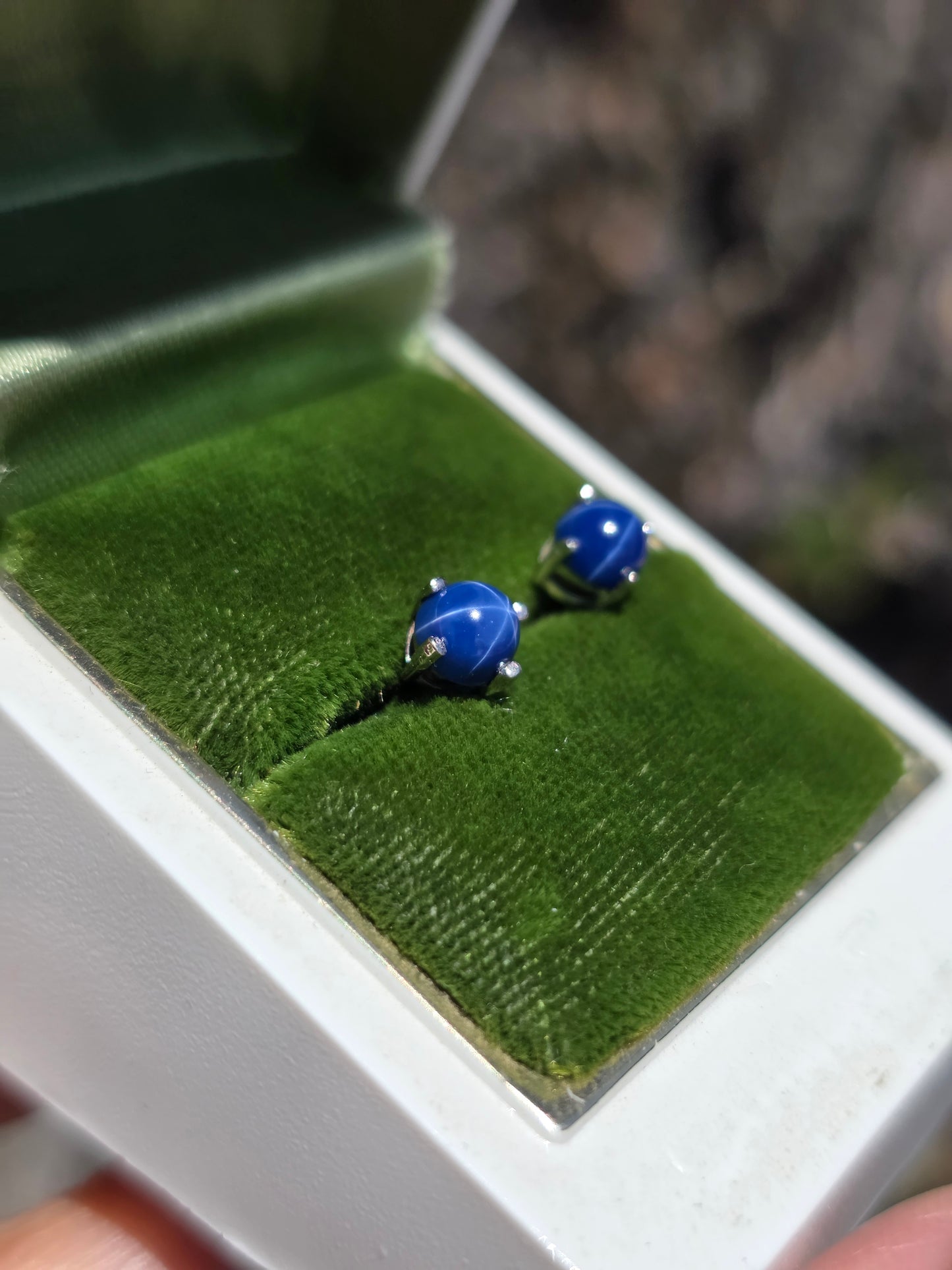 Beautiful 14k White Gold 5mm Star Sapphire Studs Earrings